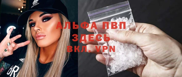 амф Бородино