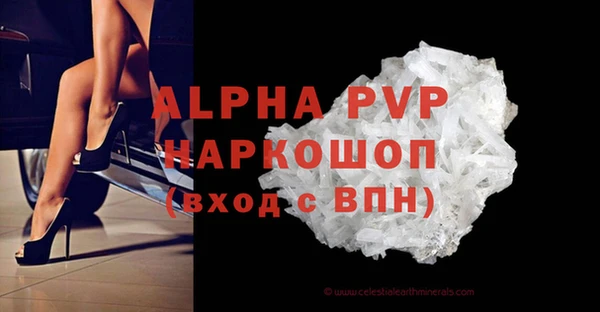 СК Бронницы
