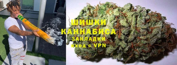 амф Бородино